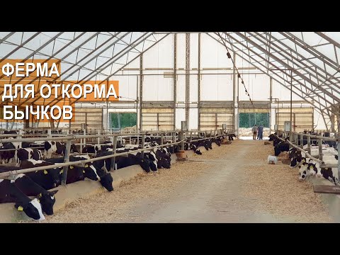Видео: 26 футуристических городских ферм и зеленых насаждений [фото] - Matador Network