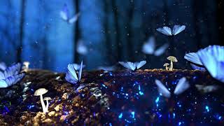 Magic Loop, Looping Perfect Forest - Motion Background - 4K