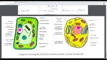 SAITM B.Tech EE SEM 4  BIOLOGY-I  UNIT 1 LECTURE 1