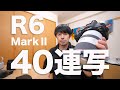 凄すぎ！EOS R6 MarkⅡでイルカショーを４０連写したらとんでもない結果になった