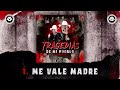 Los Dos Carnales - Tragedias de Mi Pueblo (Disco Completo)