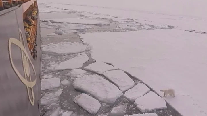 North Pole: Marine Biologist Liz Teague talks Pola...