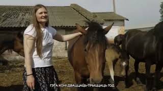 Полесская лошадь.Неизвестные факты о Беларуси.