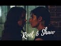 SHAW & ROOT × Surrender