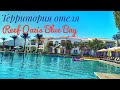 Самый популярный отель в Шарм Эль Шейхе - Reef Oazis Blue Bay. Инфинити бассейн - незабываемый вид!