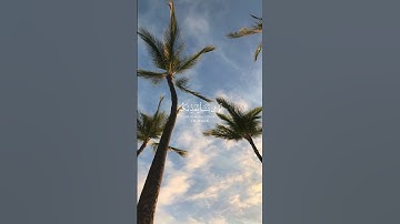 سوره الاسراء الشيخ رعد الكردي