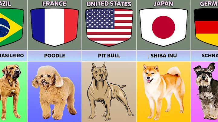 Dog Breeds From Different Countries - DayDayNews