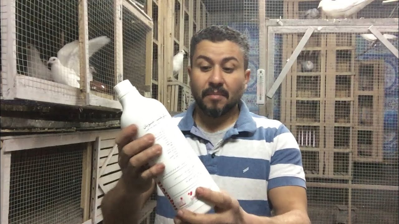 اهميه الاحماض الامينيه للحمام الحل الأكيد والمضمون لكل مشاكل الحمام🤔اللى محتاج يكلمنى 01068218550