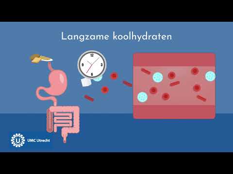 Wat zijn koolhydraten?