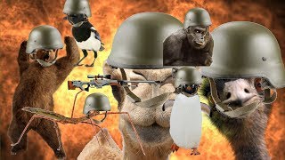 Die Zoogruppe und CS:GO | Kamelvideo No. 12