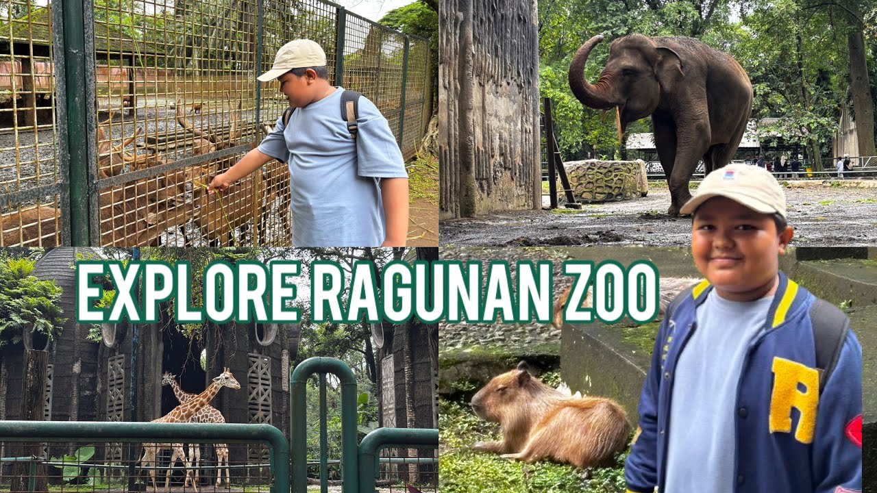 EXPLORE HEWAN DI KEBUN BINATANG RAGUNAN JAKARTA #ragunan 