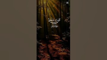 سورة النمل 🤲❤️ #اكسبلور #راحة_نفسية #لايك #duet