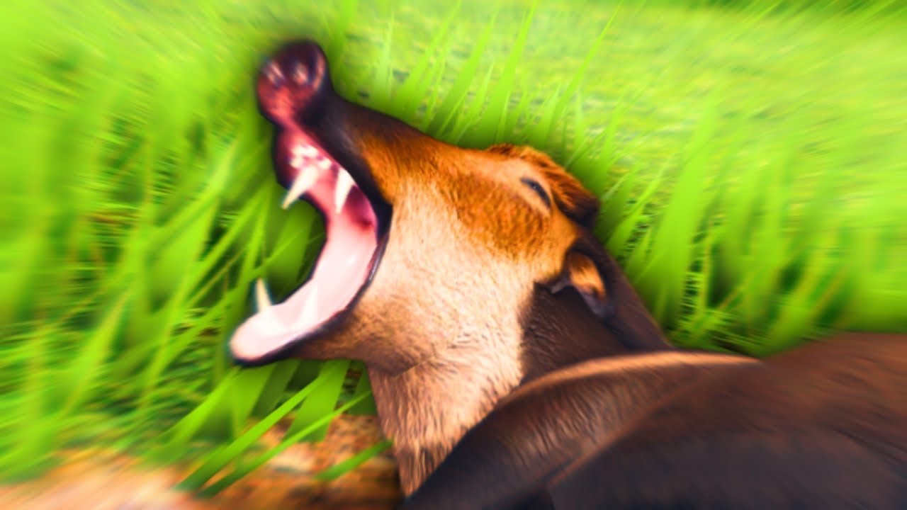 PLAYING AS A PECCARY!! | Ecos La Brea