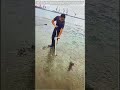 Harvesting the Tides: The Pump-Action Method of Catching Mantis Shrimp