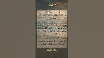 سورة يس.تلاوة هادئة هزاع البلوشي/حالات واتس/قران كريم