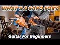 Guitar For Beginners | What is a capo?