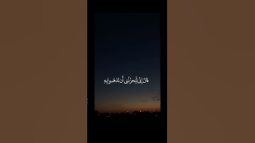 ( قالوا يا أبانا مالك لا تأمنا ) سورة يوسف #احمد_النفيس