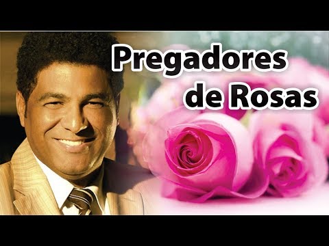 Vídeo: Abrigo De Roseiras
