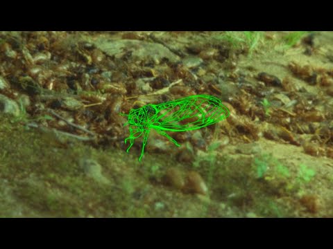 Eastern Anthems Trailer (by Matthew Wolkow & Jean-Jacques Martinod)