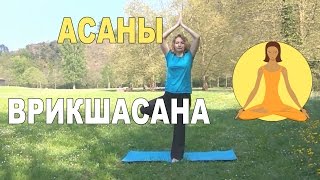 Асаны йоги. Поза дерева. Йога для начинающих. Урок 2 Асаны йоги. Поза дерева. Йога для начинающих. Урок 2