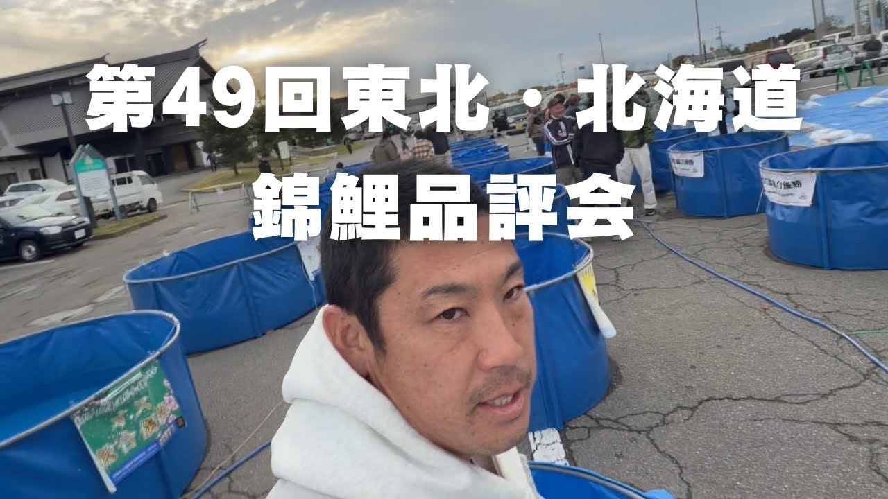 第49回東北北海道錦鯉品評会#塩田養鯉場 #koi #アクアリウム 