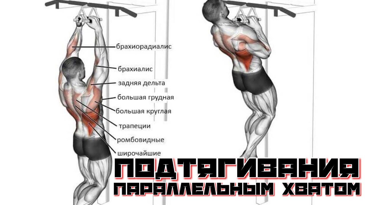 �������� Opymp labs �������: ����.