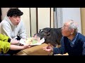 パパの誕生日なのに、主役は自分だと勘違いするブタが可愛すぎる