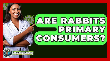 Are Rabbits Primary Consumers? - Earth Science Answers