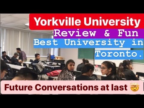 yorkville-university-students-review,-fun,-&-future-talk-||-best-university-for-students-in-canada