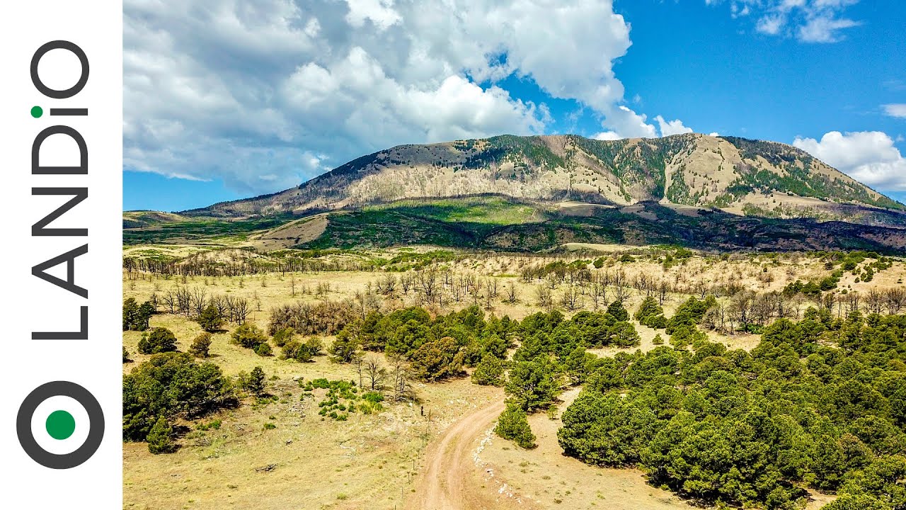 SOLD by LANDiO • Colorado Land • 35 Acres in the Foothills of Sheep