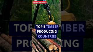 Top 5 Timber Producing Countries. #wood #usa #reels #viral #facts #trend #shorts #food #ai #yt #sub Top 5 Timber Producing Countries. #wood #usa #reels #viral #facts #trend #shorts #food #ai #yt #sub