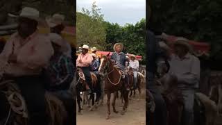 la tortuga jalisco México #reels #caballos #bandaenvivo