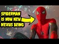 Spiderman is new nexus being in mcu  deadpool and wolverine rumoured theory