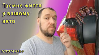 Фантастичний бруд і де його шукати