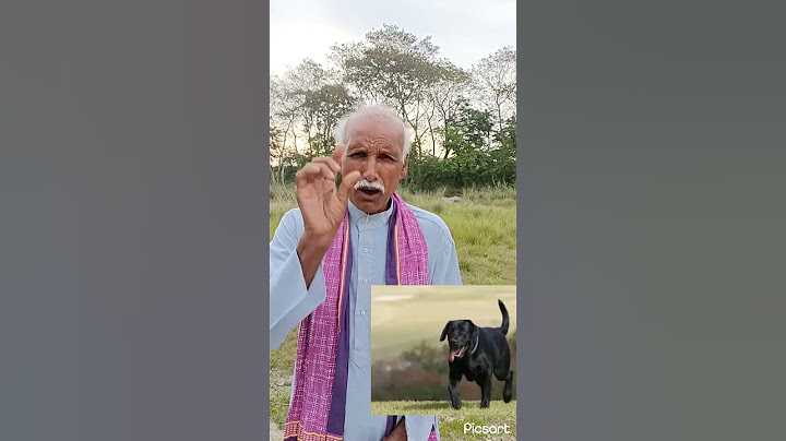 पालने वाले व्यक्ति के घर के ऊपर जादू टोना टोटका नही लगते है और शत्रु हमेशा पराजित होते है