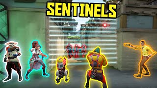 When SENTINELS Are On Defenders...