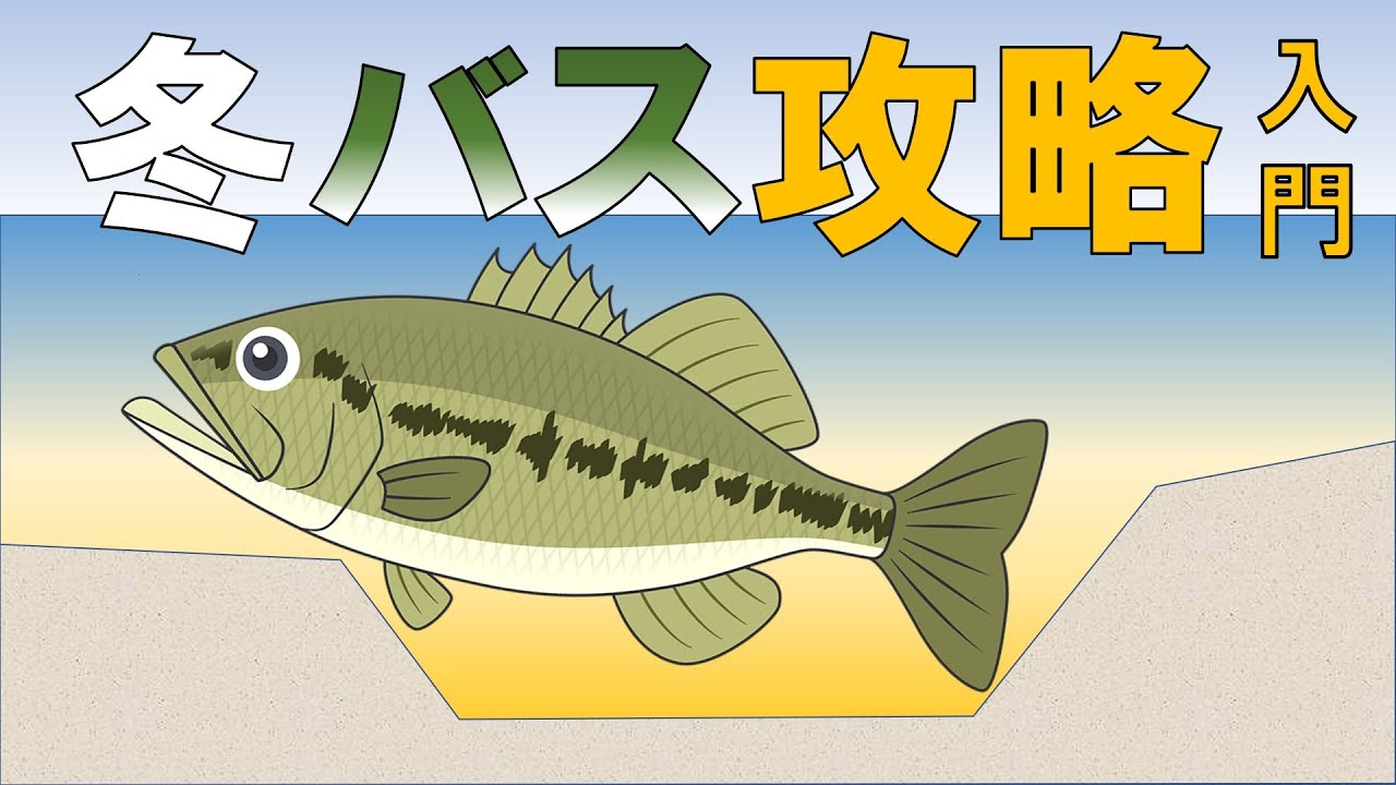 Winter Bass Point] Shore Fishing, Pond Fishing, River Fishing