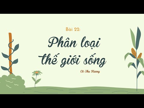 Video Bài 22. PHÂN LOẠI THẾ GIỚI SỐNG (phần 1) - Khoa học tự... - YouTube