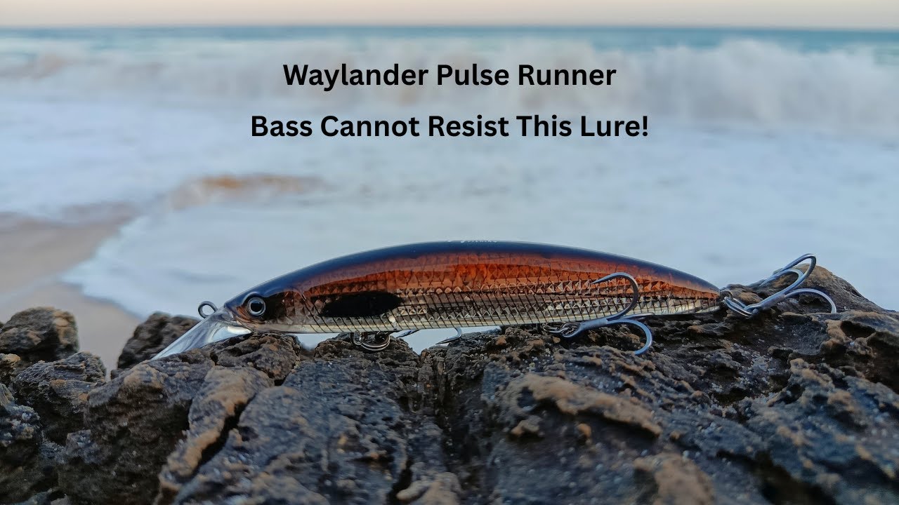 Brilliant Bass Lure! Waylander Pulse Runner,-Versatile Wired through for overseas fishing BKK Hooks