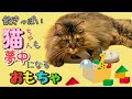 飽きっぽい猫ちゃんも夢中になるオモチャ　#猫 #cat #cattoy #おもちゃ