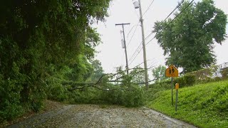 Storm damage in Capitol Heights brings large trees down