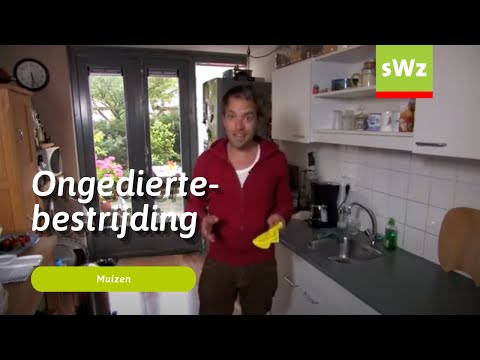 Video: Kruidenpreparaten Voor Ongediertebestrijding Van Tuinbouwgewassen
