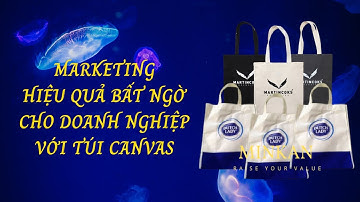 Marketing Doanh Nghiệp Hiệu Quả Bất Ngờ Với Túi Vải Bố Canvas Chất Lượng Có In Logo I #Minkan