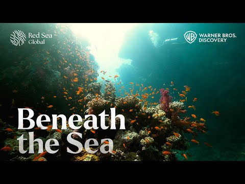 Supporting a City Beneath The Sea