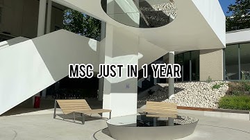 What is the LIO Master program about?