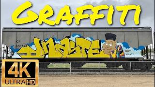 Freight Train GRAFFITI Benching #62