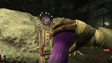 did you know this about PhD Flopper..?