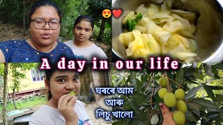 A day in our life।।ঘৰৰে আম আৰু লিচু খালো।।Daily vlog।।Priyanka।।Janhabi।।Kakati's world।।#dailyvlog