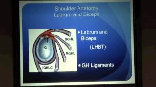 Why Does My Shoulder Hurt Part 1 - Dr. Eric Janssen