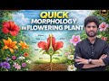Morphology of Flowering Plants | NCERT I CBSE I NEET I Complete Chapter | One shot | Class 11
